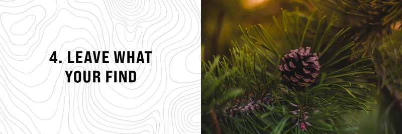Leave No Trace - Principle 4