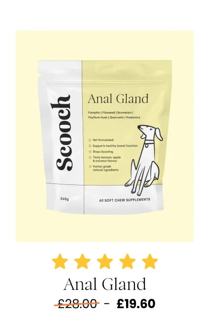 Shop Anal Gland