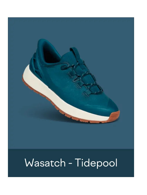 Wasatch Tidepool