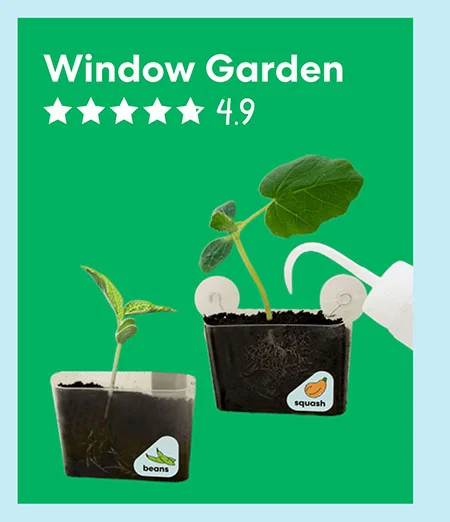 Window Garden