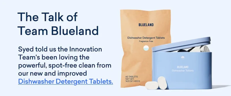 The Talk of Team Blueland: Our Dishwasher Detergent Tablets