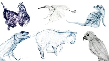 Capture the Essence: Loose Sketching with Shapes