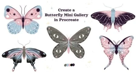 Short Art Series: Create a Butterfly Mini Gallery in Procreate