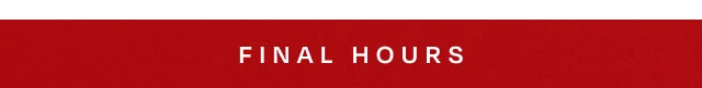 Final Hours - Image