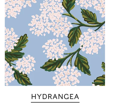 Shop Hydrangea