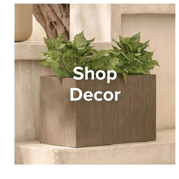 Shop Decor.