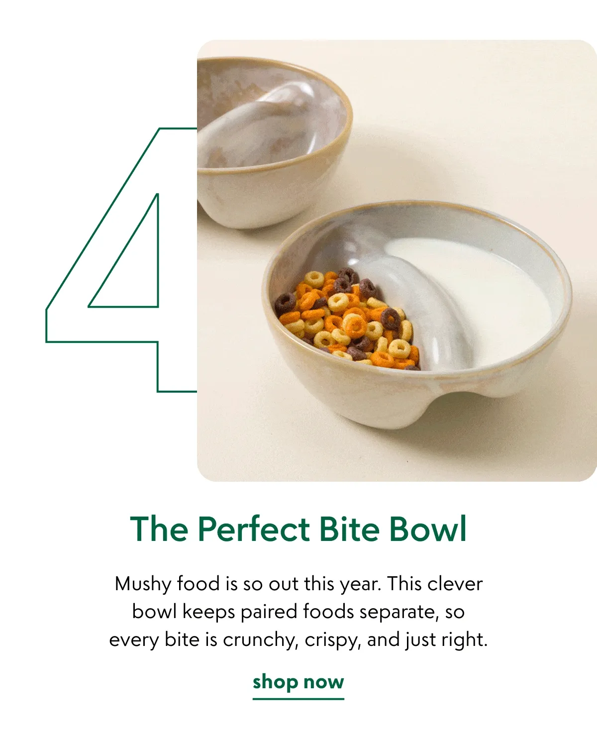 the-perfect-bite-bowl