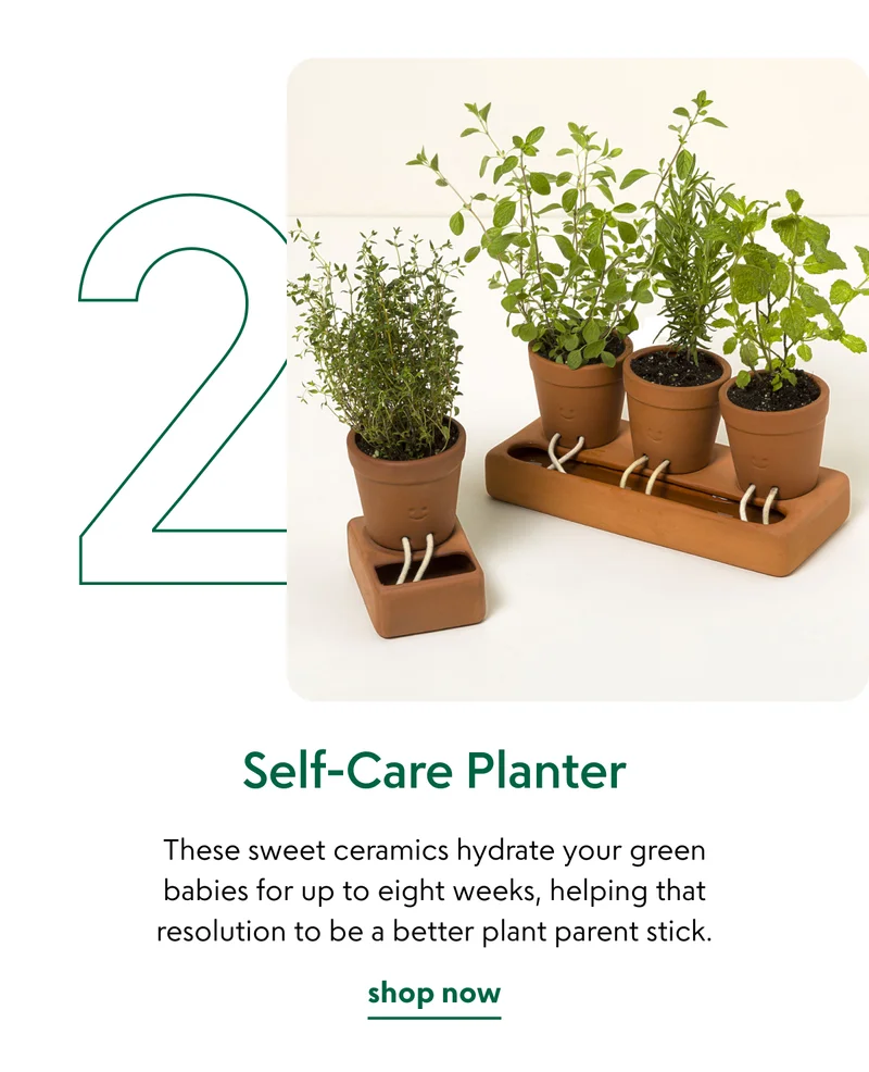 self-care-planter
