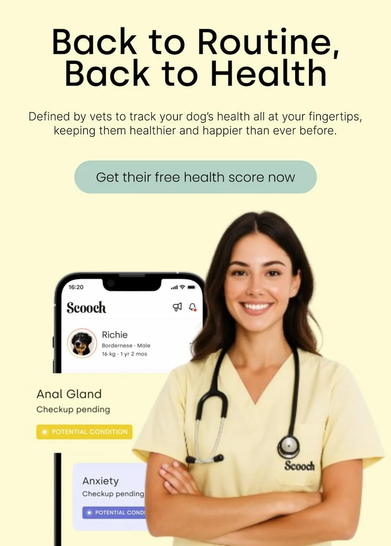 Get their free health score now