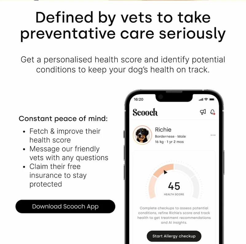 DOWNLOAD Scooch App