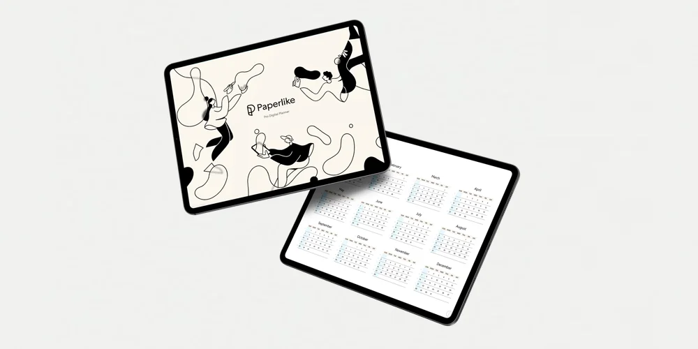 Image of the two Paperlike cases