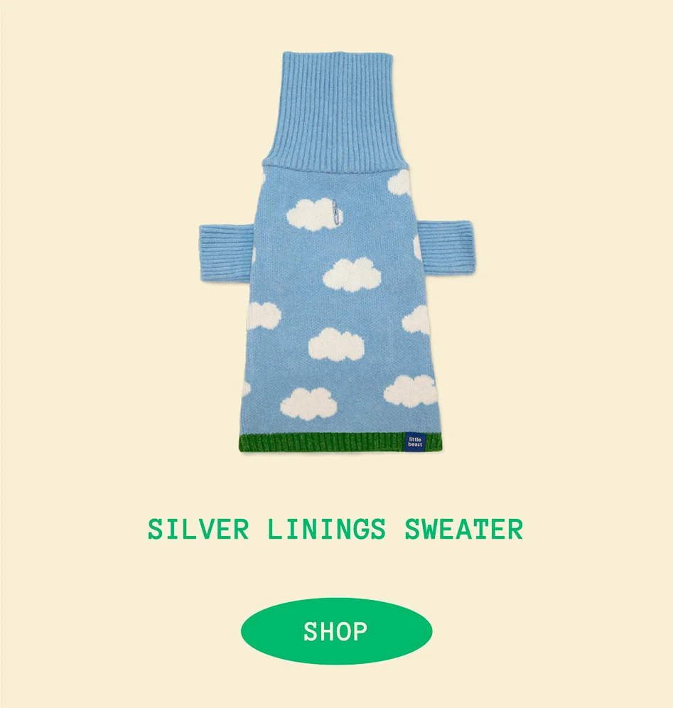 Silver Linings Sweater