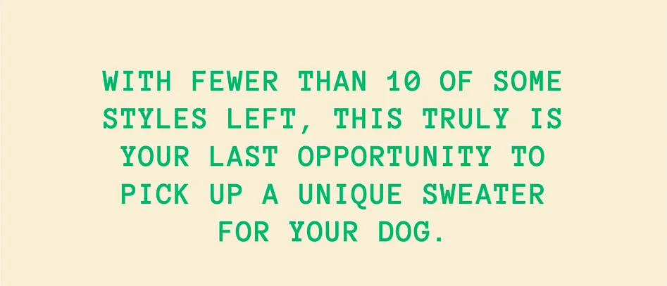 pick up a unique sweater for your dog