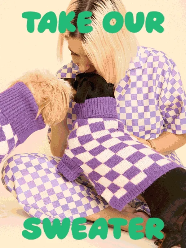 Take our sweater
