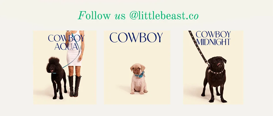 Follow us on Instagram