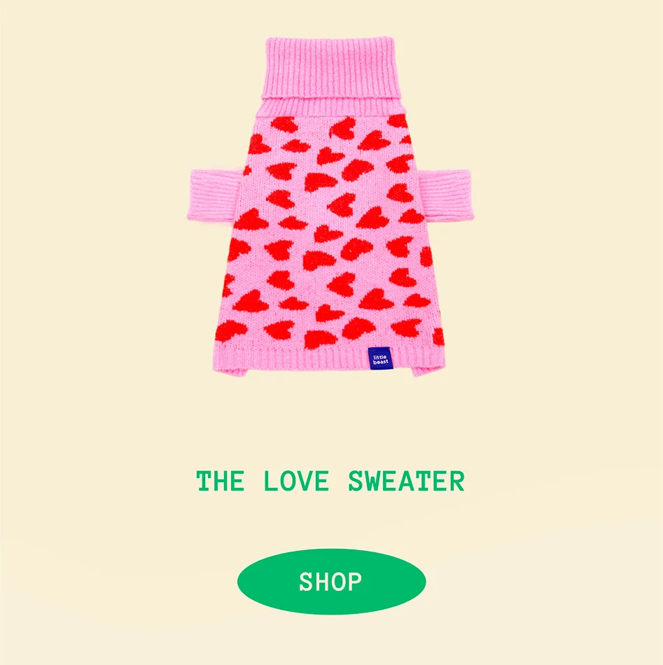 The Love Sweater