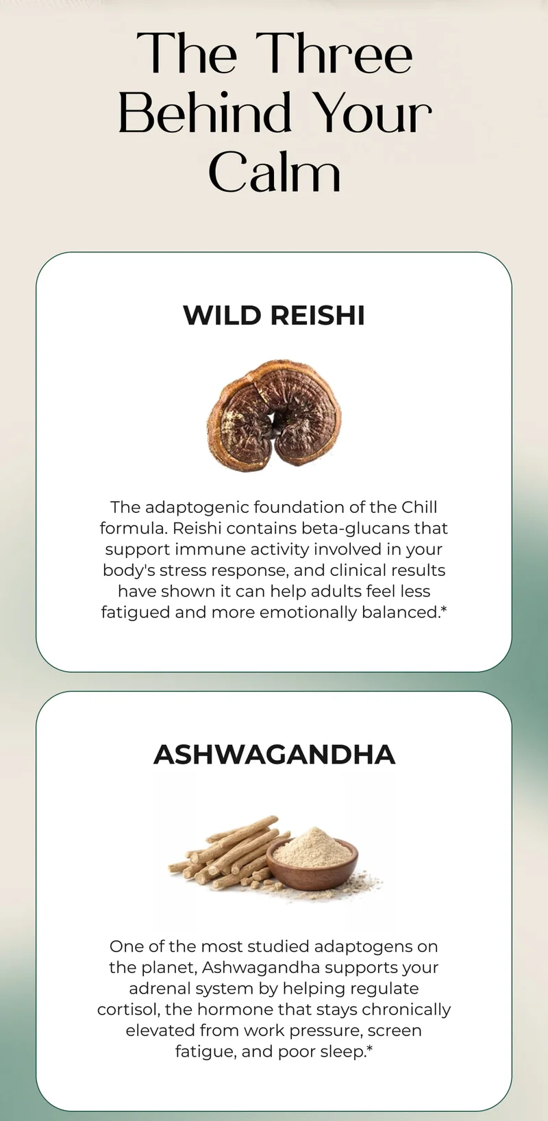 The Three Behind Your Calm