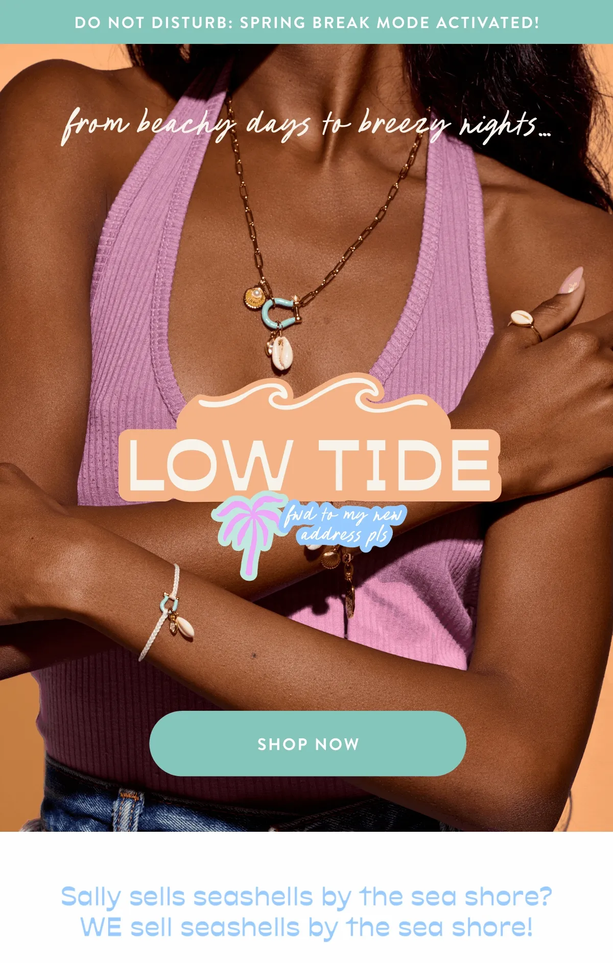 Shop Now