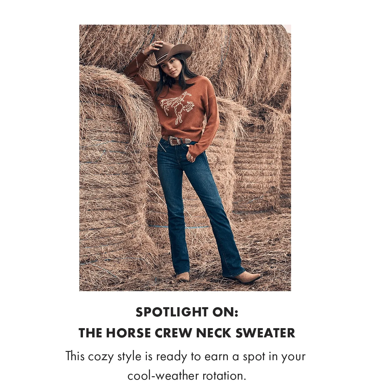 The Horse Crew Neck Sweater