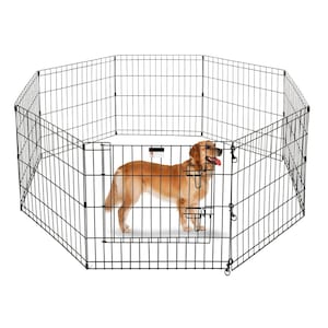 Up to 30% Off Select Animal & Pet Care