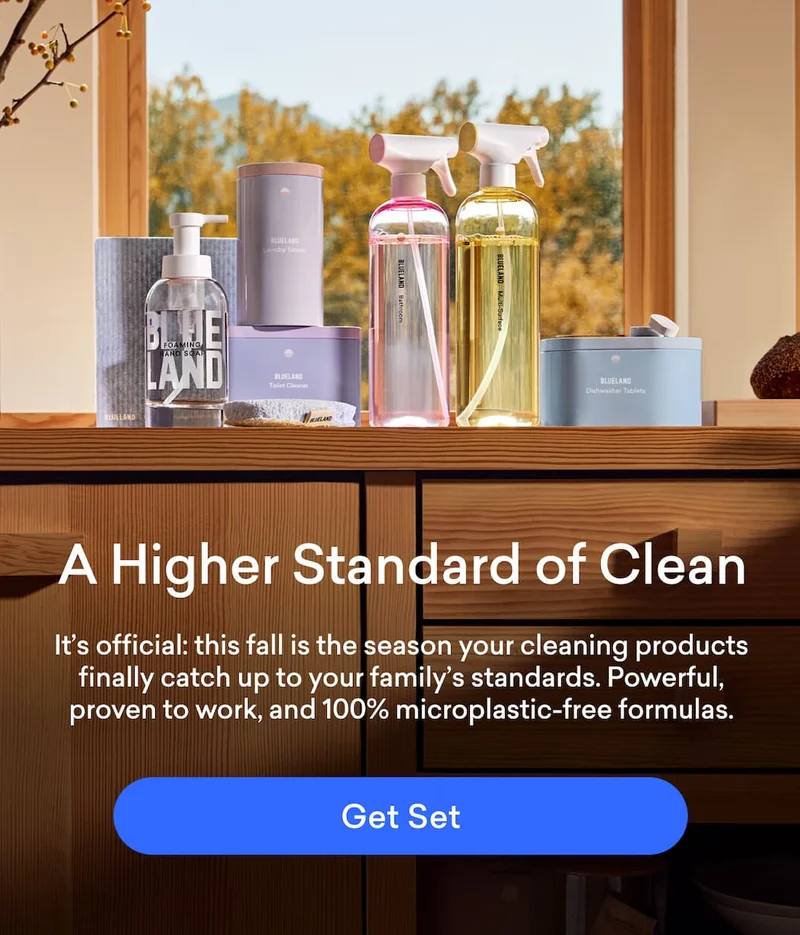 Get set for fall with cleaning products that catch up to your family's standards.