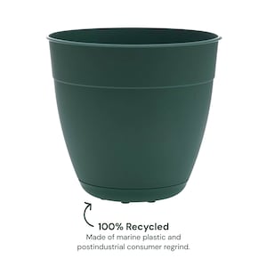Up to 40% Select Bloem Garden Products