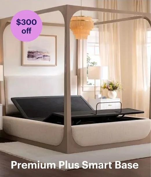 Premium Plus Smart Base
