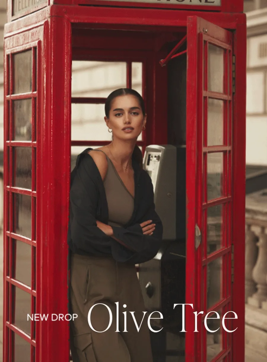NEW DROP OLIVE TREE