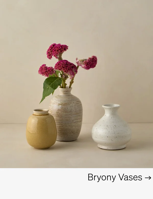 Shop Bryony Vases