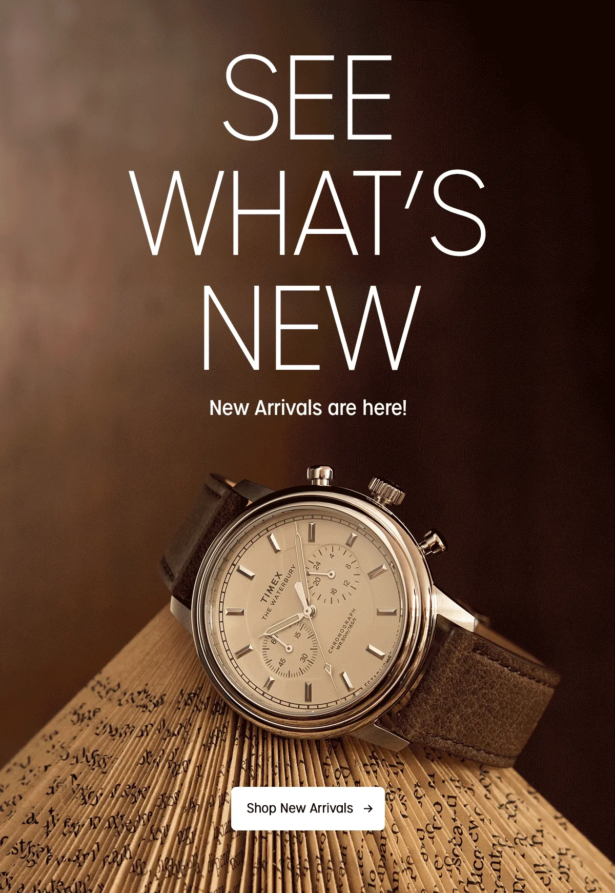 SEE WHATS NEW | New Arrivals are here! | Shop New Arrivals