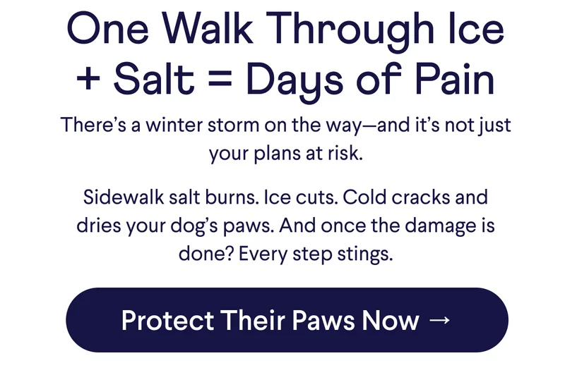 Text: &nbsp;One Walk Through Ice + Salt = Days of Pain There’s a winter storm on the way—and it’s not just your plans at risk.  Sidewalk salt burns. Ice cuts. Cold cracks and dries your dog’s paws. And once the damage is done? Every step stings. CTA: Protect Their Paws Now →