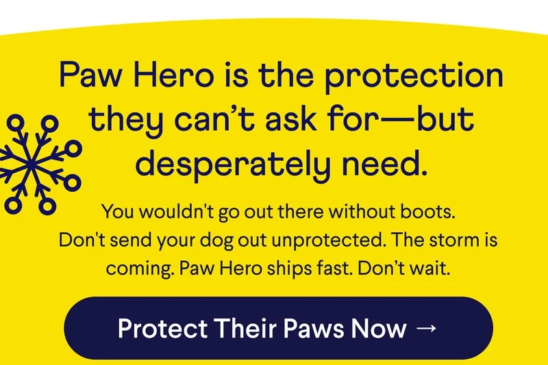 Text: Paw Hero is the protection they can’t ask for—but desperately need. You wouldn't go out there without boots. Don't send your dog out unprotected. The storm is coming. Paw Hero ships fast. Don’t wait.  CTA: Protect Their Paws Now →