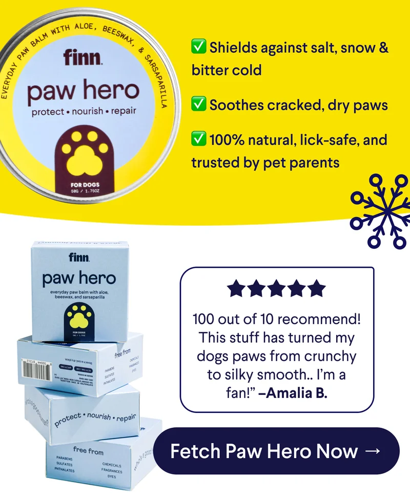 Text: ✅ Shields against salt, snow & bitter cold  ✅ Soothes cracked, dry paws  ✅ 100% natural, lick-safe, and trusted by pet parents. 5 Star Customer Review: 100 out of 10 recommend! This stuff has turned my dogs paws from crunchy to silky smooth.. I’m a fan!” –Amalia B. CTA: Fetch Paw Hero Now –>