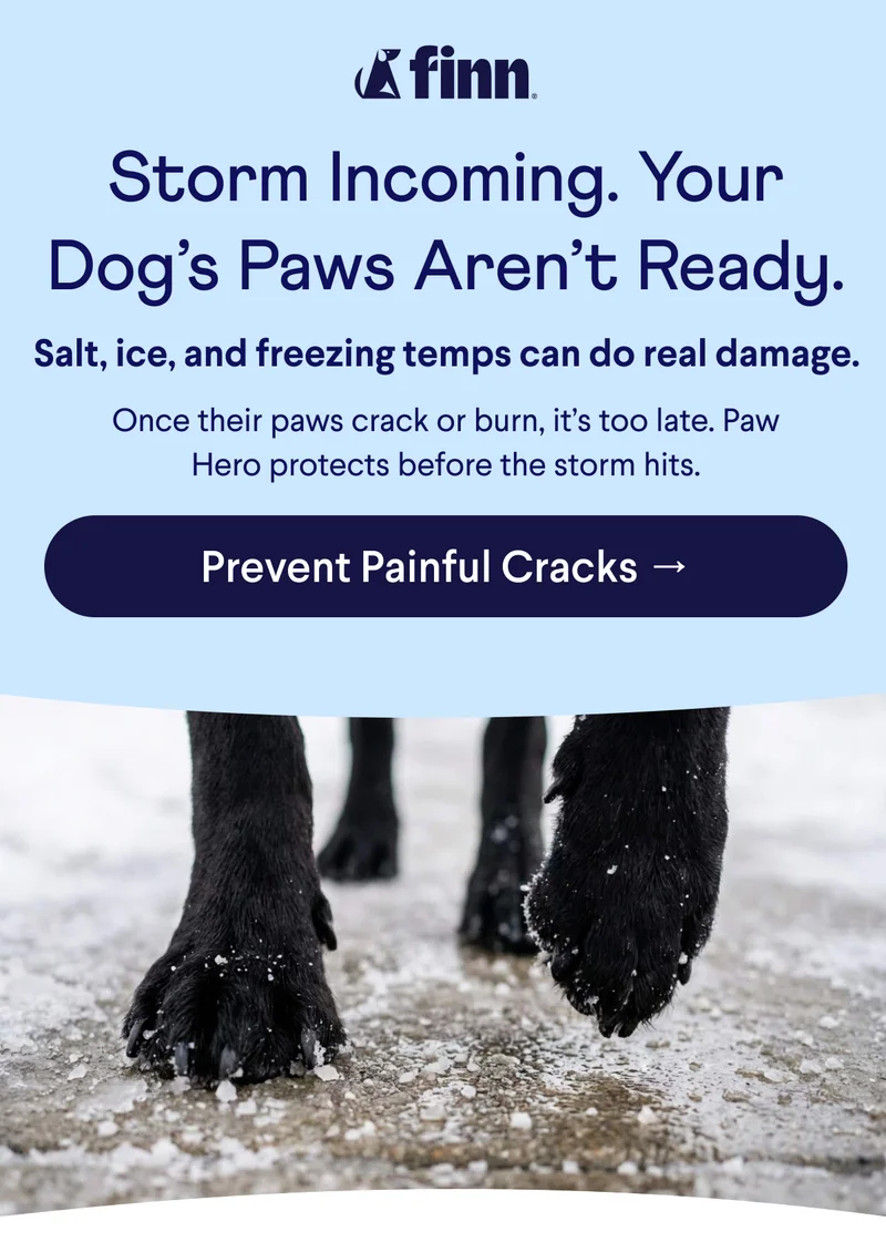 Finn logo. Text: Salt, ice, and freezing temps can do real damage.  Storm Incoming. Your Dog’s Paws Aren’t Ready.  Once their paws crack or burn, it’s too late. Paw Hero protects before the storm hits.  CTA: Prevent Painful Cracks →
