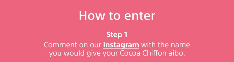 How to enter | Step 1 Comment on our Instagram with the name you would give your Cocoa Chiffon aibo.