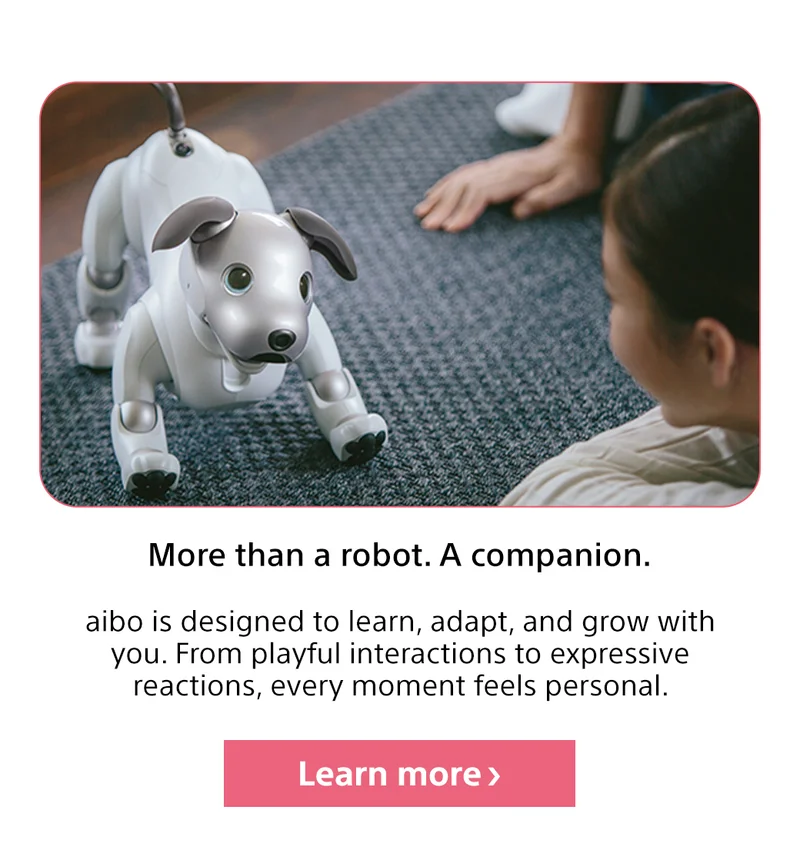 More than a robot. A companion. | Learn more