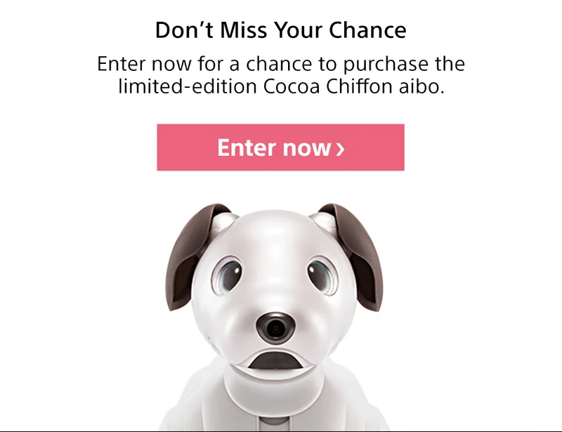 Don't Miss Your Chance | Enter now for a chance to purchase the limited-edition Cocoa Chiffon aibo. Enter now