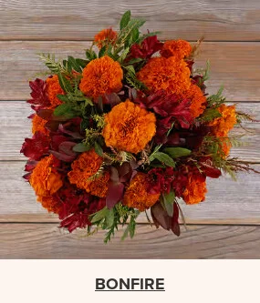 Flowers At a Great Price