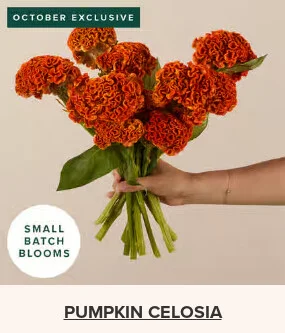 Flowers At a Great Price