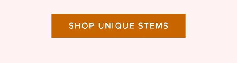 SHOP UNIQUE STEMS