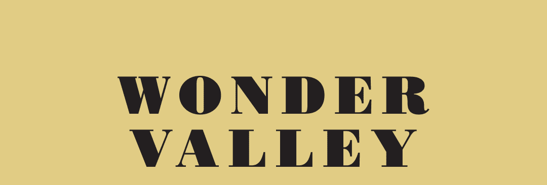 Wonder Valley Logo
