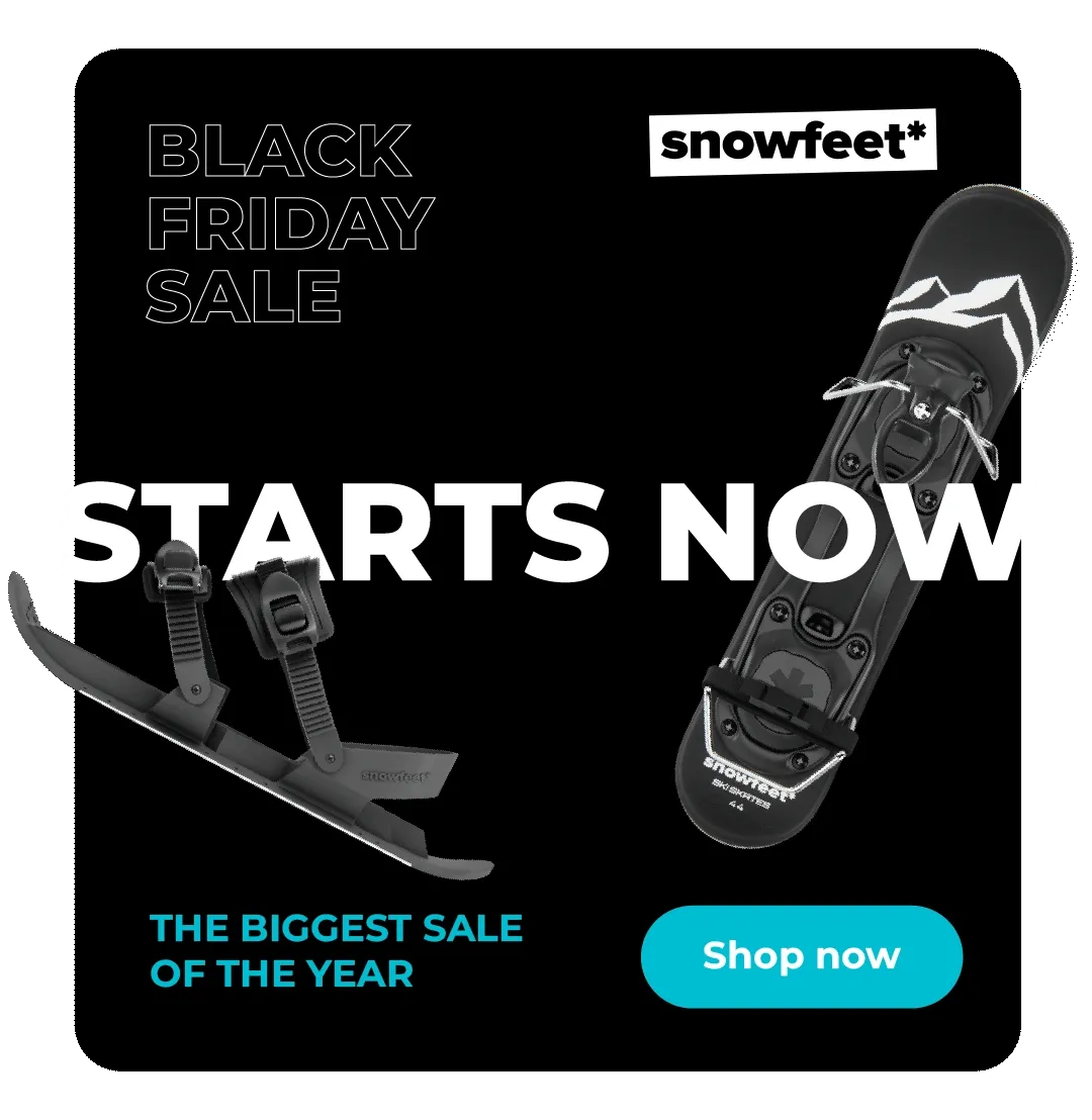 Black Friday Sale
