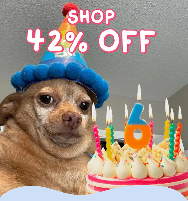 SHOP 42% OFF