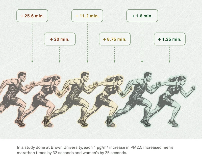 Marathon runners