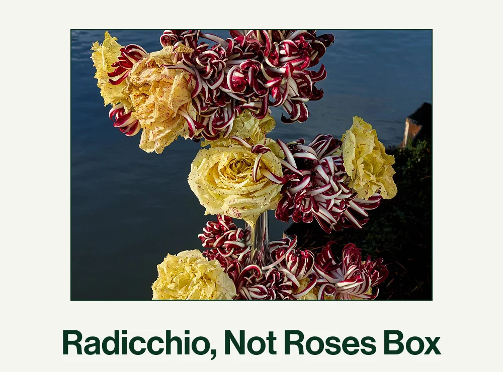 Radicchio, Not Roses Box