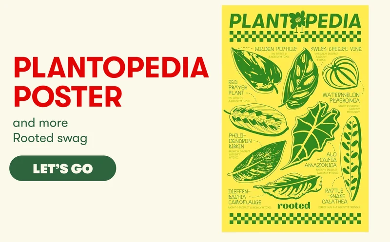 Plantopedia poster and more Rooted swag. let's go