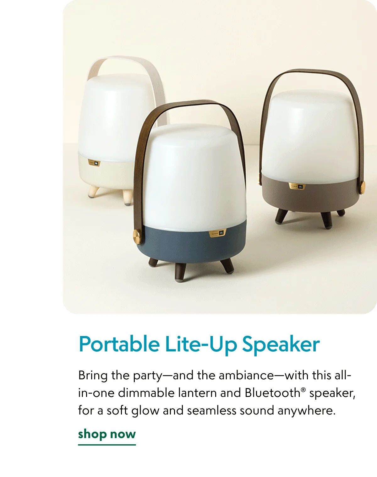 Portable Lite-Up Speaker