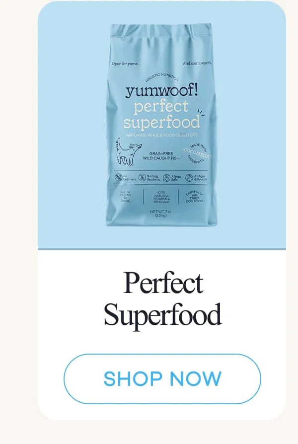 Perfect Superfood | shop now