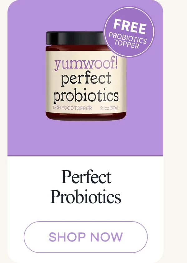Perfect Probiotics | shop now