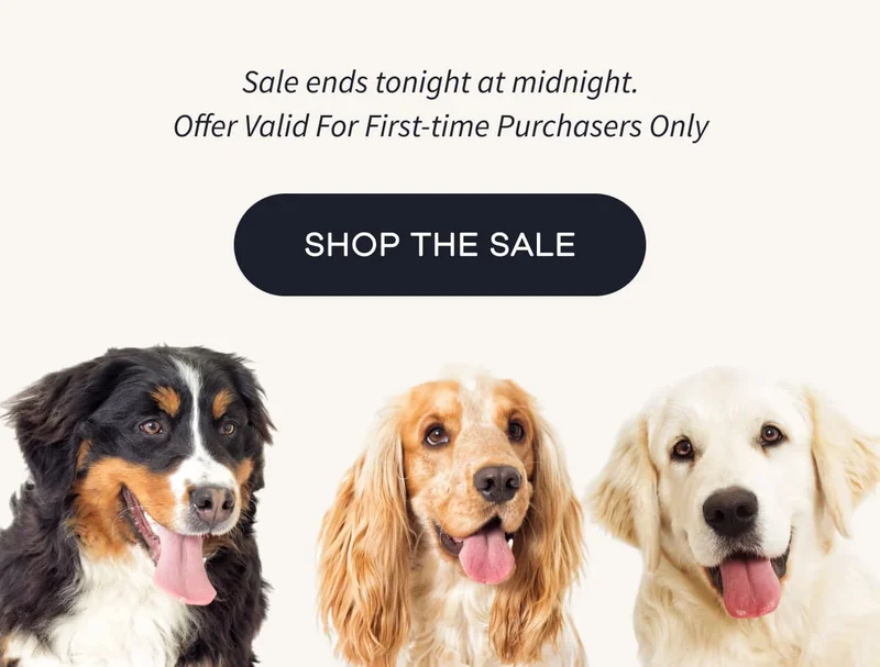 Sale ends tonight at midnight. Offer Valid For First-time Purchasers Only | SHOP THE SALE